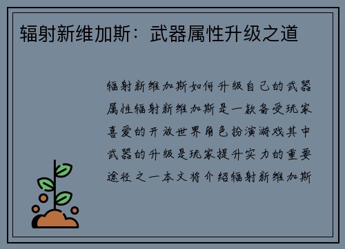 辐射新维加斯：武器属性升级之道